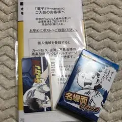 【新品】名探偵コナンキャンペーンnanacoカード&メモリアルピンズセット m31876050873_1.jpg?1741093845