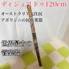 世界最古の管楽器 ディジュリドゥ 120cm カメ柄 民族楽器