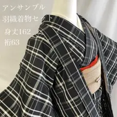 単衣 袷 アンサンブル 着物 羽織 着物 黒 白 格子 赤 紫 緑 紬 1n3