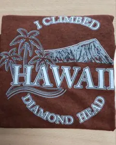 ハワイ Ｔシャツ ダイヤモンドヘッド XL ブラウン