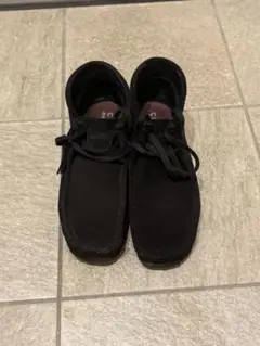 Item thumbnail for item 6f6587b6-fd7c-41f5-ae7a-1d96d9a03875