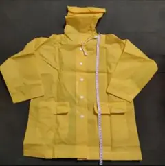 Item thumbnail for item 6b4f3bdd-f80f-4ade-9169-cb07f495dae2