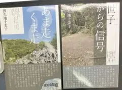 渡久地十美子　あま走くま走 　世子からの信号