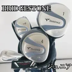 Item thumbnail for item 6e50eec1-d2c1-481c-b538-2caf09db9925