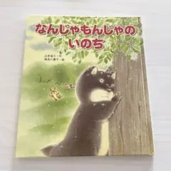 オペレッタ　なんじゃもんじゃのいのち Amazon | オペレッタ なんじゃもんじゃのいのち | くまいもとこ