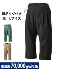 Item thumbnail for item 5da33a47-758b-444d-8260-9dc9101e1edf