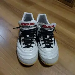 モレリアサラ