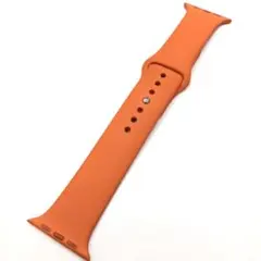 アップルウォッチ エルメス スポーツバンド 44mm Apple Watch