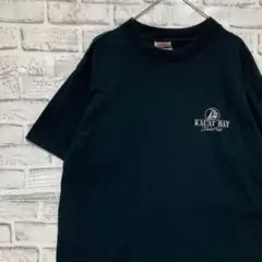 USA製90sヴィンテージTシャツ！シングルステッチ　ブラック半袖古着XL710