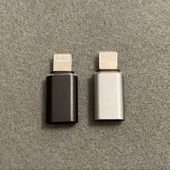 Lightning タイプc 変換コネクタ　2個セット