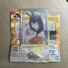 勝利の女神　一番くじ　J賞　メアリー　全新