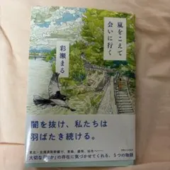 嵐をこえて会いに行く