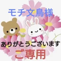♦︎モチ文鳥様♦︎ご専用