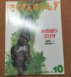 月刊　たくさんのふしぎ　木のぼりゴリラ　2014年　10月号