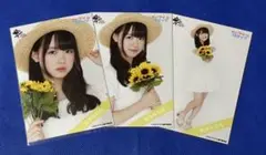 Item thumbnail for item 95b96b27-21c2-4d36-bb62-8b4658cd4129