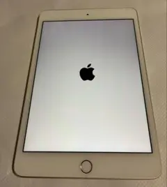 美品✨ Apple iPad mini第4世代) 純正ケース付