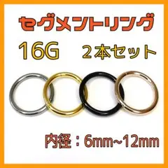 16G セグメントリング 2本セット フープ ピアス 鼻 軟骨 リップ