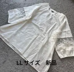 Item thumbnail for item 3662c4ee-5d2a-48b7-bcc9-2de7f2f0f855