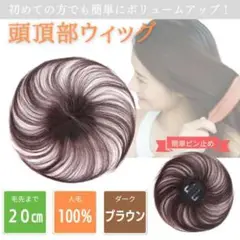 部分 ウィッグ ヘアピース 頭頂部 薄毛 円形脱毛症 つむじ 人毛 茶 ブラウン