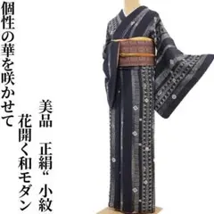 美品 正絹“幻想と縞、個性の華を咲かせて花開く和モダン♪”小紋 F-47