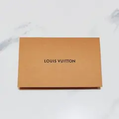 LOUIS VUITTON ルイ ヴィトン 封筒 名刺 レシート入れ ケース