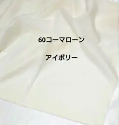 Item thumbnail for item 2a94d50f-c9cd-42c7-870b-f2a125022143