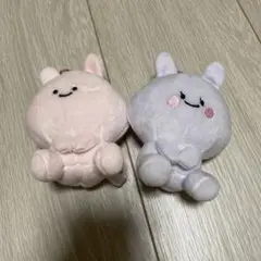 あさみみちゃん　ぬいぐるみ　2点セット
