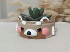 リメイク缶　レッサーパンダ
