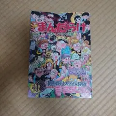 まんだらけ 漫画資料大系保存版 13