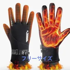 新品 メンズ 手袋 保温 裏起毛 防寒 防風 スキーグローブ ブラック 2-18