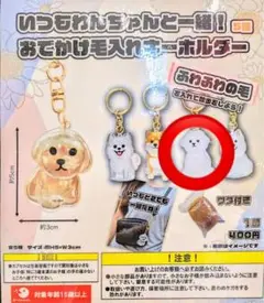 いつもわんちゃんと一緒！おでかけ毛入れキーホルダー