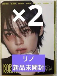 stray kids straykids リノ 新品未開封　アルバム　2枚