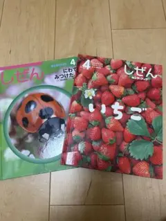 20冊 絵本セット しぜん キンダーブック うし いちご カレー うみ みかん 2025年最新】キンダーブック しぜん いちごの人気アイテム