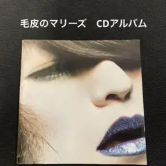毛皮のマリーズ Gloomy LP レコード 新品未使用品 2025年最新】gloomy 毛皮の人気アイテム - メルカリ
