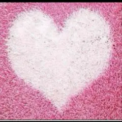 Item thumbnail for item 3d34c6ab-b17b-4e2b-9994-1848ab99695a