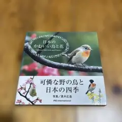 日本のかわいい鳥と花　PIE