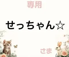 専用