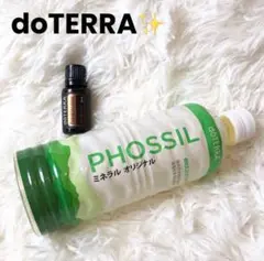 Item thumbnail for item fa1b03db-384b-4b3b-bcca-11c4ee17c654