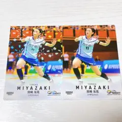 Item thumbnail for item a46a4660-a28c-4938-aad2-b018e474a466