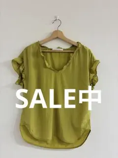 Item thumbnail for item 1d3042ea-0899-461a-af13-9a8a5ccee394