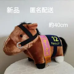 新品　未使用