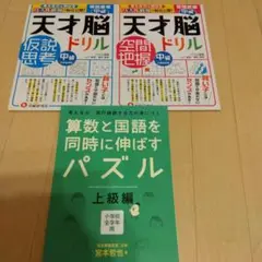 天才脳ドリル　空間把握　仮説思考　 中級　算数と国語を同時に伸ばすパズル　上級編