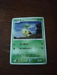 ナエトル レベル10 HP60 ポケモンカード