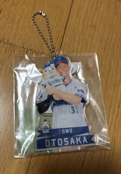 横浜 DeNA ベイスターズ 乙坂智 NICO33 手袋 実使用 サイン　ミズノ 横浜 DeNA ベイスターズ 乙坂智 NICO33 手袋 実使用 サイン