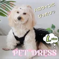 Item thumbnail for item a14b0b40-6921-45ff-84e5-075211a35318