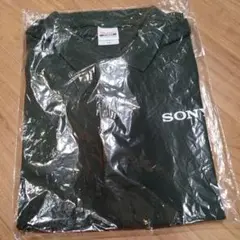 Item thumbnail for item 8c146377-32a3-46c2-9d61-b4520a12d9b2