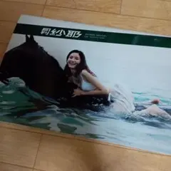 Item thumbnail for item 14ee766c-a9ed-479f-a3e4-5019ba6a9eae