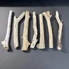 Item thumbnail for item de3c7cdb-cb6d-49a2-9515-56336812bbd0