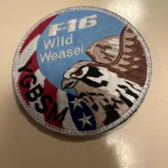 ミリタリー ワッペン 空軍 F16 古着