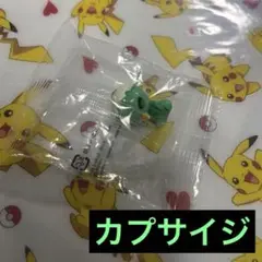 ポケモンゲットコレクションズ 彼方への道しるべ　カプサイジ